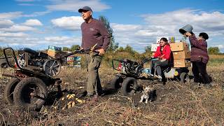 Harvest Time in a Ukrainian Village Under the Sky of War 🇺🇦