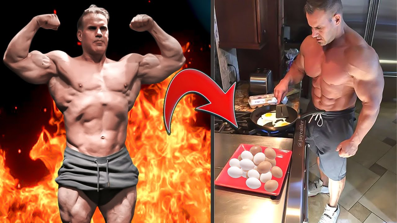 How Many Eggs Can Dog Eat Daily