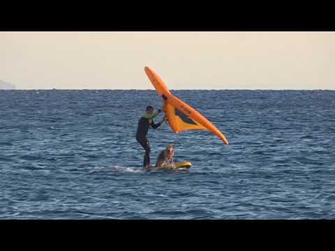WingFoiling with Arya the dog