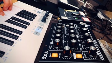 Moog Minitaur: My first encounter