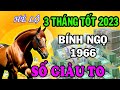 🔵Hé Lộ Bí Mật Tuổi Bính Ngọ 1966 Phật Trời Ưu Ái, Tiền Vàng Nhét Chật Két Trong 3 Tháng Tốt Này