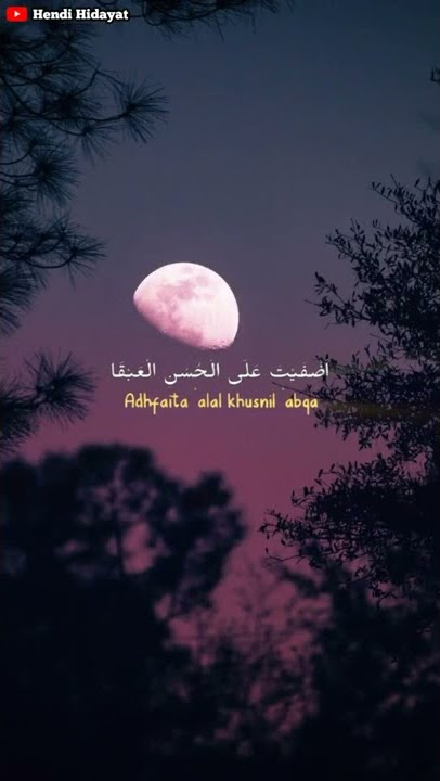 STORY  WA  SHOLAWAT ADFAITA ALAL HUSNIL ABQA  30 detik #shorts