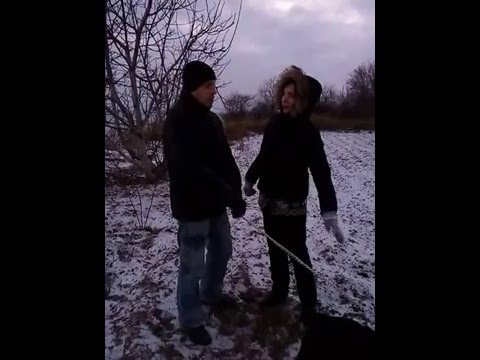 Как Новичку выбрать собаку в загородный дом?!