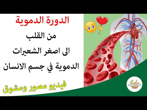 فيديو: ما هو جهاز الدورة الدموية في جسم الانسان؟
