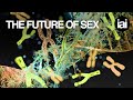The future of sex | Güneş Taylor