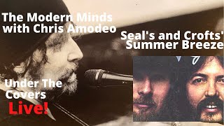 Summer Breeze - Seals and Crofts - Live cover by The Modern Minds with Chris Amodeo