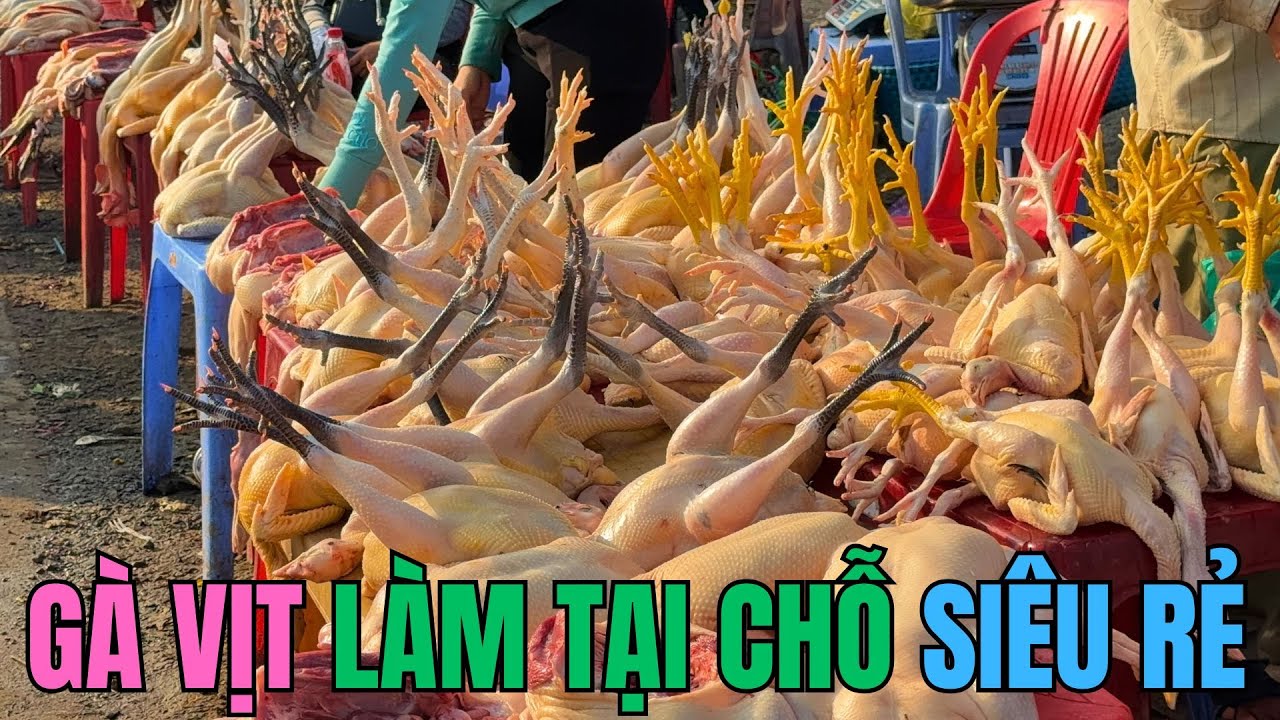 Bất ngờ Chợ gà vịt siêu rẻ Bình Điền||Gà sống hẳn hoi||Gà làm sẵn bao la ê hề mua nhiêu cũng có