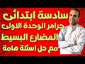 انجليزى سادسة ابتدائى جرامر الوحدة الاولى المنهج الجديد سادسة ابتدائى قواعد الوحدة الاولى منهج حديث