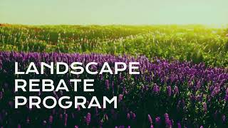 Landscape Rebate Program