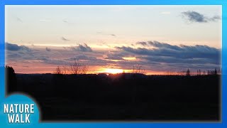 The stunning pink sunset and skies slowly slip away (Nature Visualizer)