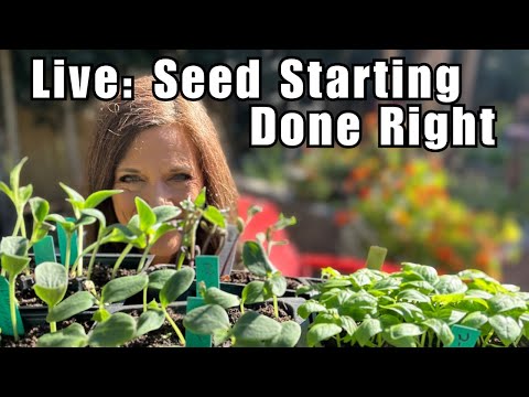 Live: Seed Starting Done Right — Get Your Strongest Start Now (replay)