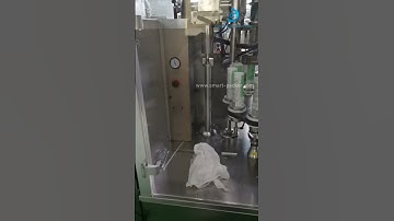 Automatic soft tube hose rotary loading filling sealing packing machine running video