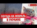 ПОГОДА НА ФЕВРАЛЬ: что ждет украинцев в последний месяц зимы