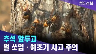 추석 앞두고 벌 쏘임·예초기 사고 주의 / 안동MBC