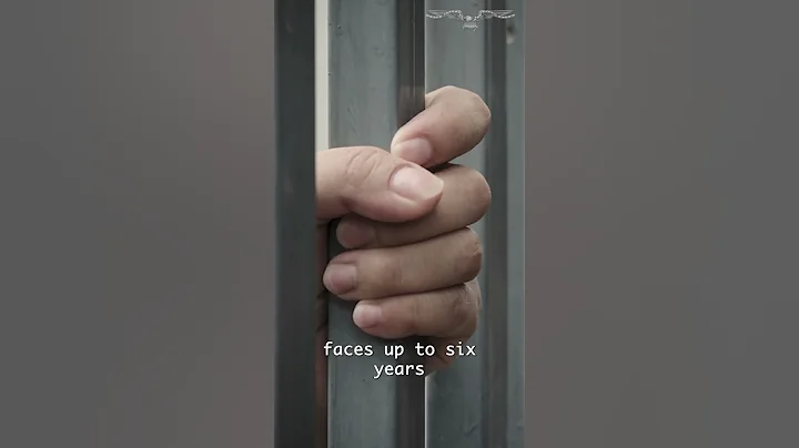 A dog’s vote was counted in California election. Its owner now faces jail time