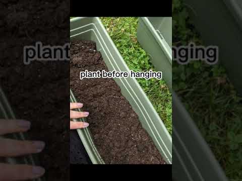 Video: Suport pentru balustradă de balcon pentru plante – Puteți crește viță de vie pe o balustradă