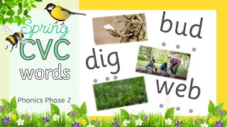 Spring Phonics l Blending for Reading l CVC Words | Phase 2