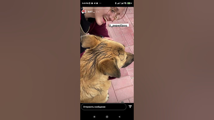 save the poor dog #animal #abuse #dog #pets #shorts