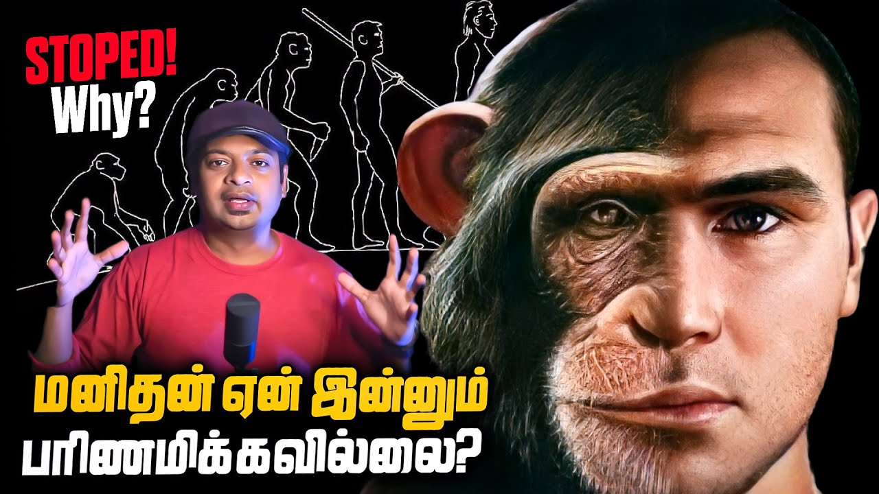 Has Human Evolution Stopped? | மனிதன் ஏன் இன்னும் பரிணமிக்கவில்லை? | Mr.GK