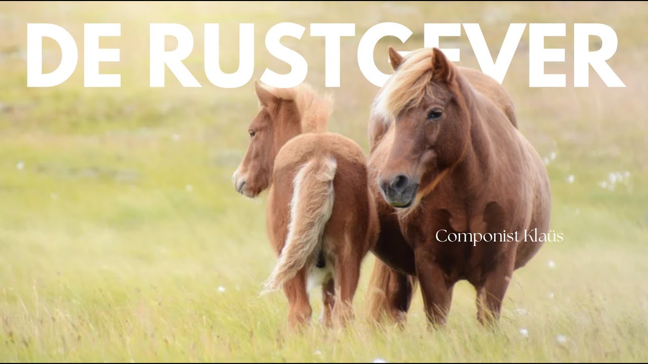 Rustige muziek | Calm music 🩶💛🎼 Instrumentaal, Instrumental