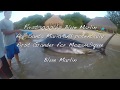Santa Maria Mozambique 1000 pound Blue Marlin