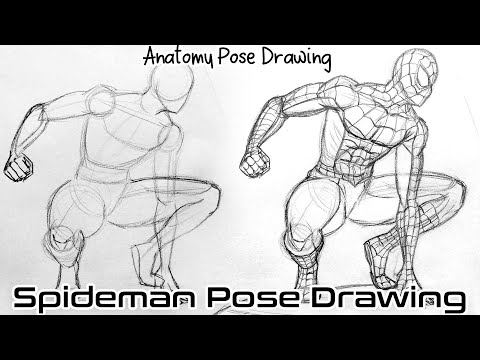 art wall — Some dynamic poses studies of Spider-Man. It's...