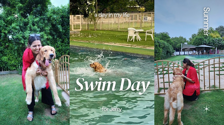 Jerry’s 1st pool party 🏊🤿 | Swim Day | Dayout🎾🤿