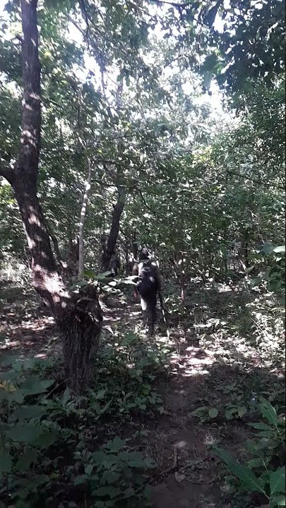 this is cobra commando,The forest becomes blessed after hearing their sound and living in the forest