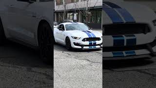 THE CLEANEST SPEC? Shelby GT350 Heritage VooDoo Rollout ⚪🔵