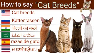 How To Say "Cat Breeds" in different countries & Languages