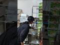 Automatic Pouch Packing Machine, Pouch Packing Machine #packingmachine #businessideas #shortsvideo