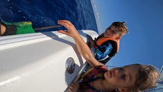 Caught and released Mahi, Marlin & Cuda out of Fort Lauderdale FL with the kids