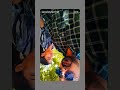16 May 2026 #short #love #yt
