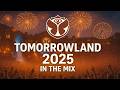 Tomorrowland 2025 David Guetta Martin Garrix Tiesto Meduza Avicii Axwell Gigi D Agostino Tomorrowland 2025 David Guetta Martin Garrix Tiesto Meduza Avicii Axwell Gigi D Agostino