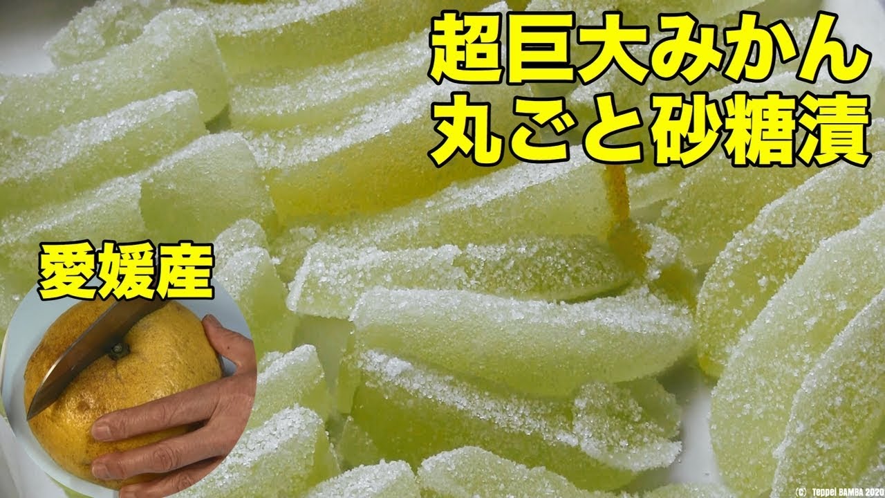 みかんピール作り方 巨大安政柑砂糖煮 Youtube