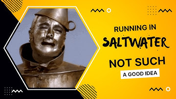 WPL C24 1 And MN99s On The Beach