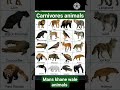 carnivores animals 🐅🐆 list with pictures 🏞️ for students @ EVs knowledge for beginners