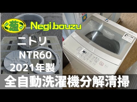 洗濯機分解清掃【 NITORI 】ニトリ 洗濯6.0㎏ 全自動洗濯機 NTR60