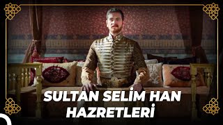 Sultan Süleyman, Tahtını Selim'e Emanet Etti | Osmanlı Tarihi