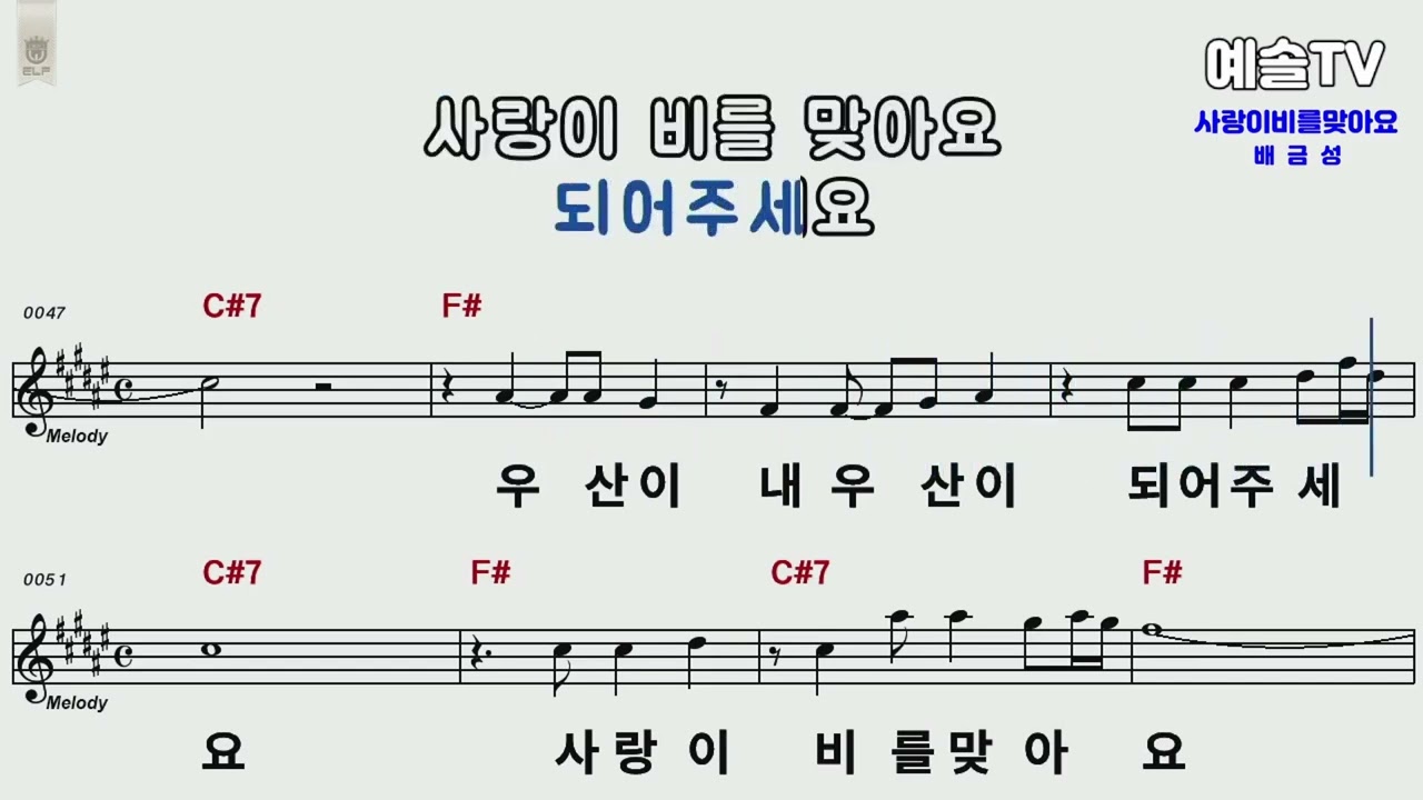 사랑이 비를 맞아요   🎤제대로 배워보자🎤  ♡노래강사 예솔TV♡  배금성 노래