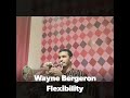 Wayne bergeron flexibility studies  testing some engelman mouthpieces combinations 