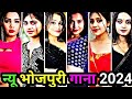    2024  bhojpuri tik tok  bhojpuri song  bhojpuri reels  bhojpuri