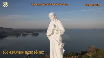 21/11/ 2025 -   Đức Mẹ dâng mình trong đền thờ