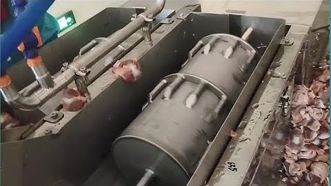 Automatic chicken gizzard peeling cleaning machine