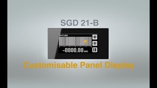 Details PanelPilot B Promotional Video Guide