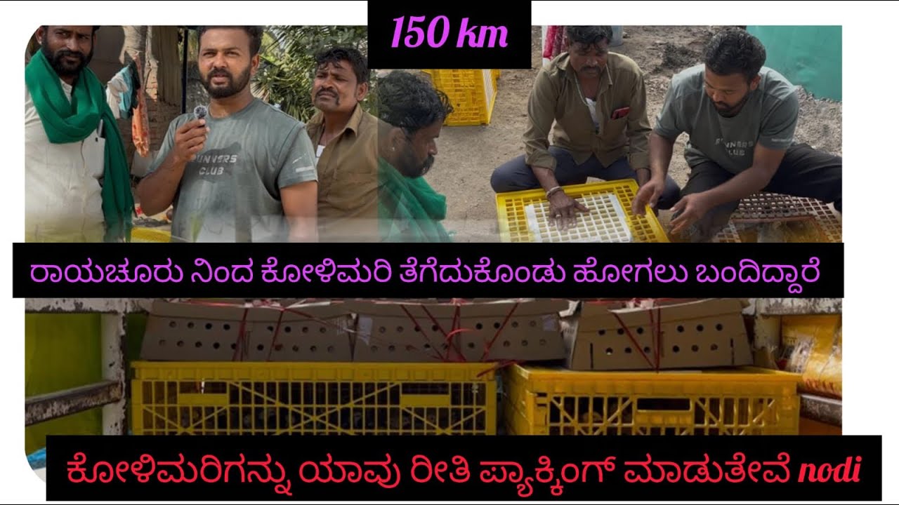 150 km ದೂರದಿಂದ ಕೋಳಿ ಮರಿ ವೈಯಲು ಬಂದಿದ್ದಾರೆ