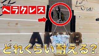 ヘラクレスオオカブトは何kgまで持ち上げれるか？「トリビアの泉」