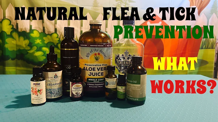 NATURAL FLEA AND TICK REPELLENT RECIPE AND EVERYTHING YOU NEED TO KNOW ABOUT GOING NATURAL!
