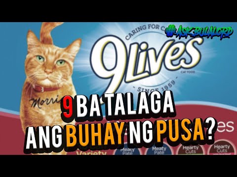 Video: Ilang Taon Nabubuhay Ang Mga Pusa