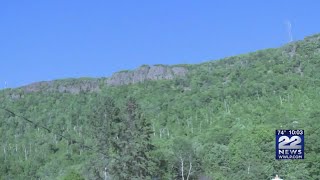 Crews safely rescue paraglider caught in tree in Easthampton